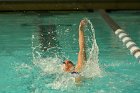 Swimming vs Bentley  Wheaton College Swimming & Diving vs Bentley College. - Photo by Keith Nordstrom : Wheaton, Swimming & Diving